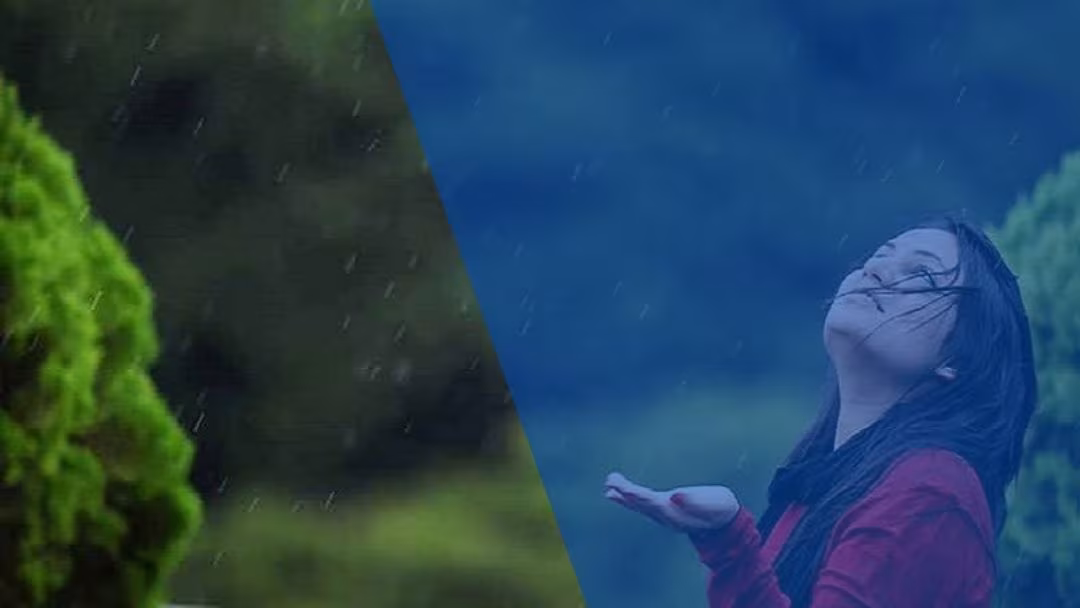 উদাস বসন্ত