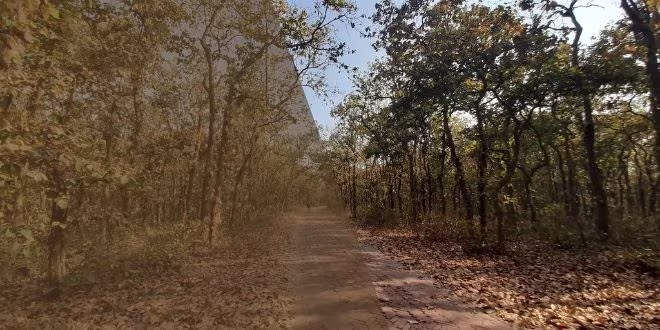 বসন্ত দিন