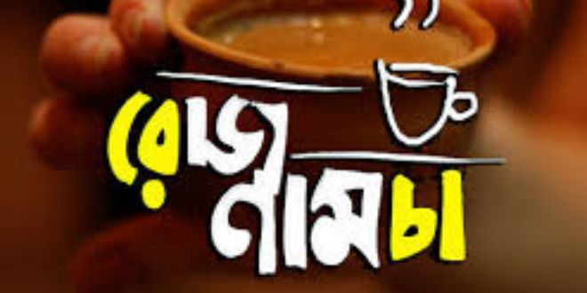 রোজনামচা