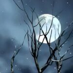 নির্জনতায় তুমি আমি