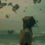 খুঁজে ফেরা