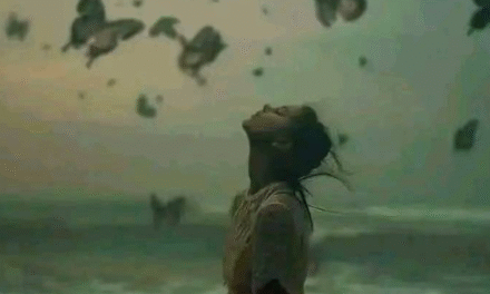 খুঁজে ফেরা